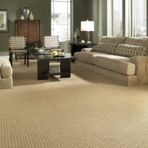 neutral carpet in living room Flooring Express | Lafayette, IN