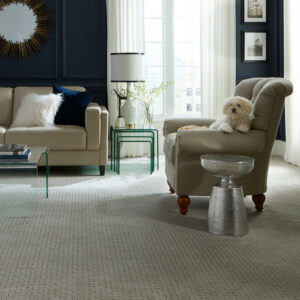 Carpet in living room with dog in chair | Flooring Express | Lafayette, IN