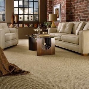 neutral carpet in living room | Flooring Express | Lafayette, IN