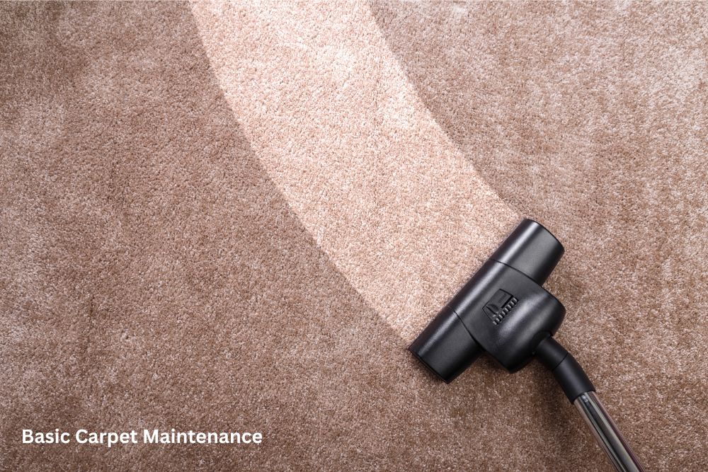 Carpet cleaning | Flooring Express