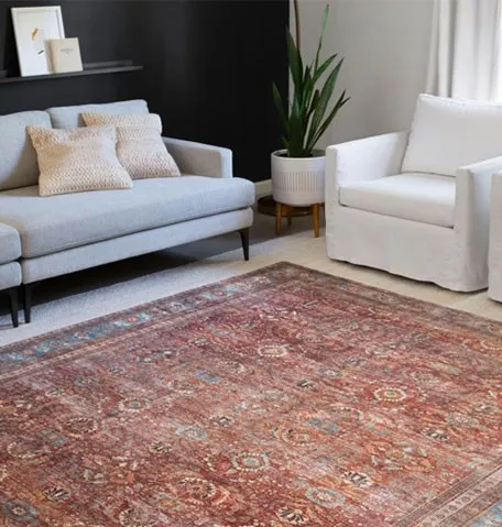 area-rug-new area-rug-new